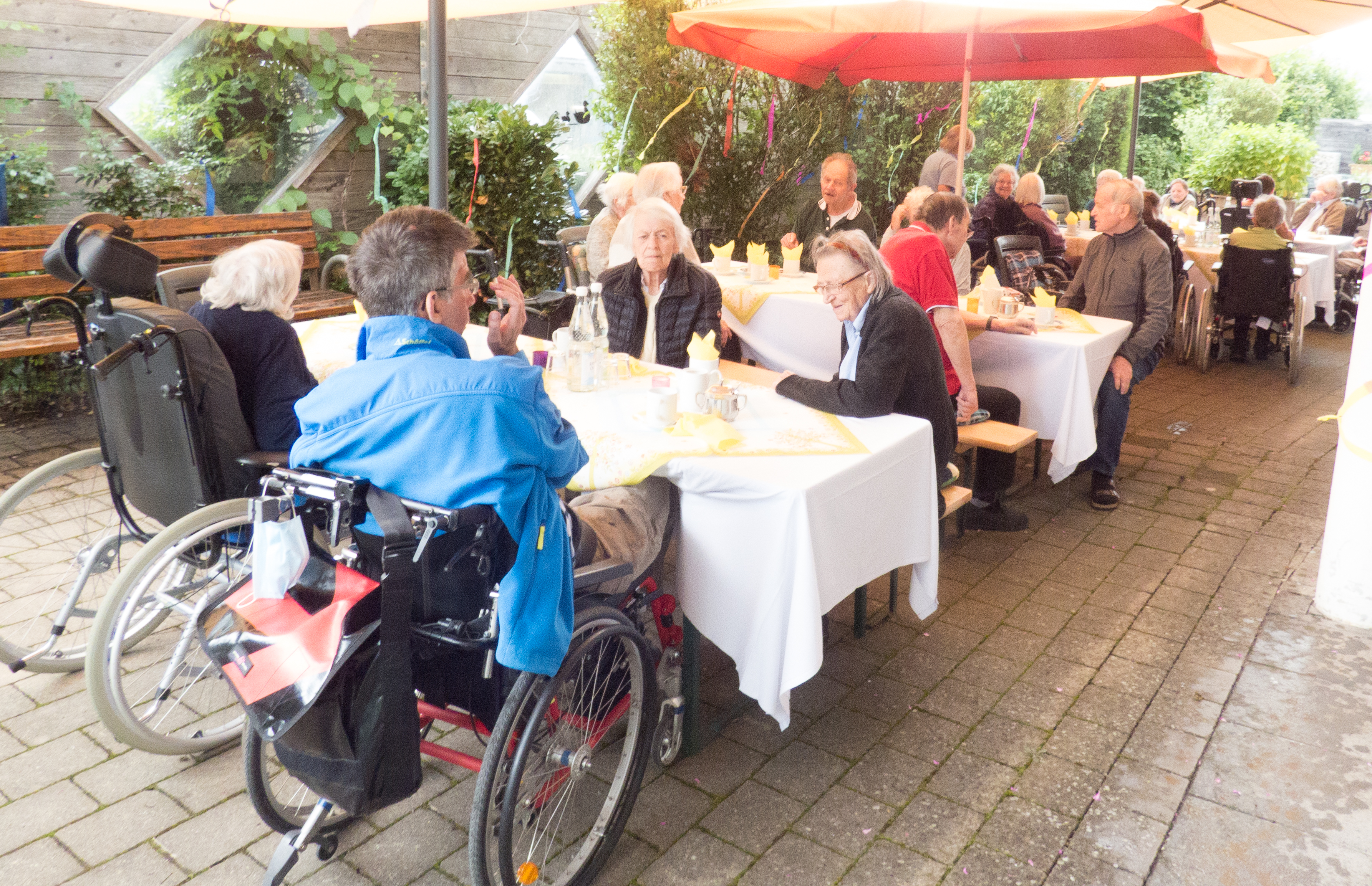 P1030104--orig.jpg P1030104--orig.jpg